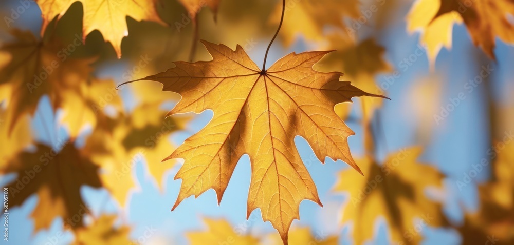 Poster a close up of a leafy tree with a blue sky in the background and a picture of a leafy tree with a bl