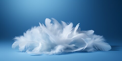 a pile of white feathers