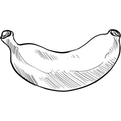 banana handdrawn illustration