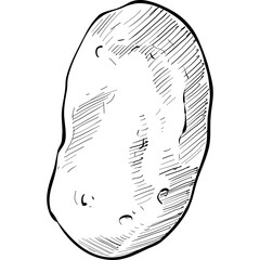 potato handdrawn illustration
