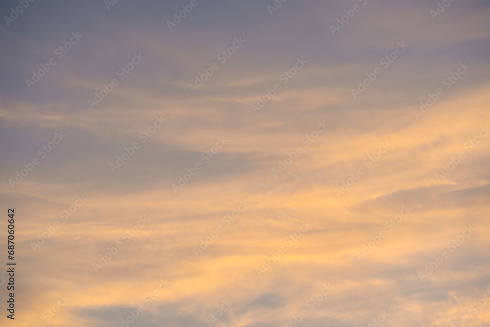 Poster nature and landscape concept with twilight and cloudy sky background on the morning with large tree