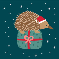 Cute Vector Echidna Hedgehog Christmas Xmas Santa Hat Present Happy Joy Stars Green Red Australian Animals