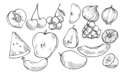 berries and fruits handdrawn collection