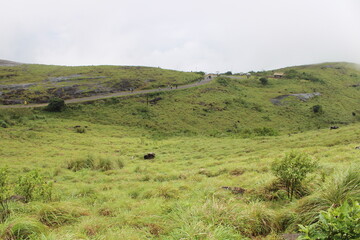 Obraz premium landscape 