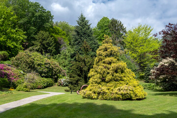 Lake Como springtime - magnificent garden in front of the lake. Taken in Tremezzo, Italy Lombardy
