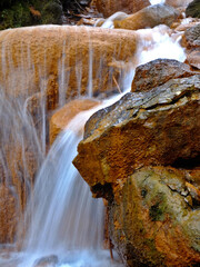A wonderful fragmet from the waterfall of the spring of mourning.