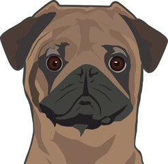 Pug, Pug face, Pug head, Pug skull, adorable, animal, art, breeds, cartoon, cute, design, dog, dog isolated, dog vector, doggy, drawing, looking, face, funny, graphic, head, icon, illustration, isolat