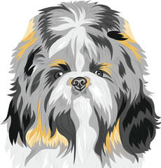 
Shih Tzu, Shih Tzu dog face, Shih Tzu head, Shih Tzu skull, adorable, animal, art, breeds, cartoon, cute, design, dog, dog isolated, dog vector, doggy, drawing, looking, face, funny, graphic, head, i