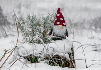 Toy gnomes in the snow. Festive mood. Waiting for a miracle.