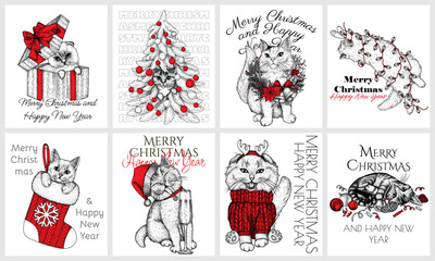 Vector set of 8 posters with Christmas cats.  Siamese lop-eared, tabby, British, fluffy. In a Christmas tree, with Christmas decorations, in a gift box, wrapped in a garland, in a Christmas stocking