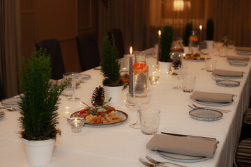 Elegant Dining Table decor with Candle, Plant, and Place Setting. Elegant dining table with banquet arrangement, candles, and place settings.