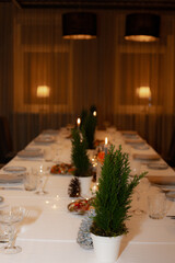 Elegant Dining Table decor with Candle, Plant, and Place Setting. Elegant dining table with banquet arrangement, candles, and place settings.