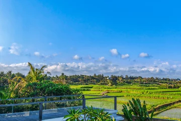 Wandaufkleber Balinese sunrise: Young rice terraces in the calm morning light of Indonesia. Nice green Bali © Jan