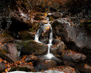 waterfall in the forest