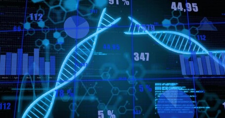 Animation of dna strands, data processing on black background - Powered by Adobe