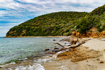Obraz premium Marine landscape of Cala Violina beach in Scarlino Grosseto Tuscany Italy