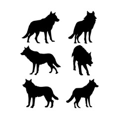 Wolf silhouette isolated on white, wild animal, logo with wolf, vector image