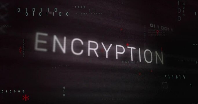 Animation of encryption text over data processing