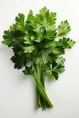 Parsley. Portrait. Ideal for advertising or banner.