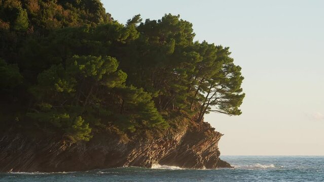 Seaside Cliffs with Lush Pine Trees. The Adriatic Sea coast in Montenegro.