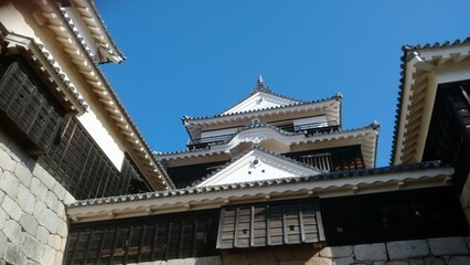 Fototapeta na wymiar japanese castle