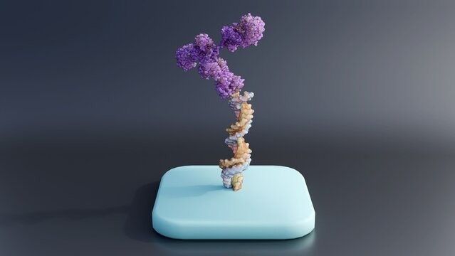 Antibody-oligonucleotide conjugates  or AOC use in antibody arrays; 3d rendering