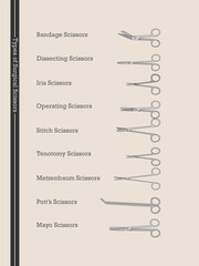 Set of Surgical Scissor Type - obrazy, fototapety, plakaty
