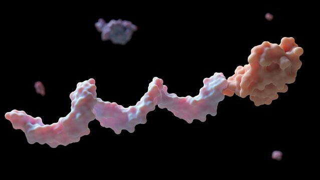 protein G&minus;DNA conjugate an antibody to the intended area on the surface of bioassay chips or particles; 3d rendering