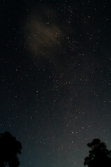 Ethereal Milky Way painting the night sky with stars. Nocturnal beauty: A clear view of the galaxy....