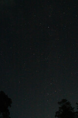 A silent symphony of stars scattered across the night. Enchanting twinkle of distant stars. Night's...