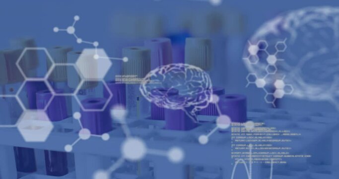 Animation of human brains and scientific data processing over laboratory