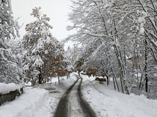 After the road was cleared by a tractor, it became passable for cars. - 687114243
