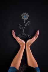 Hand holding a plant