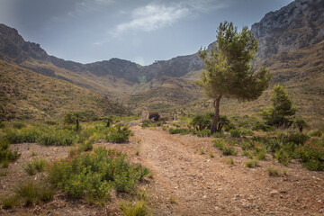 Trail in the mountains