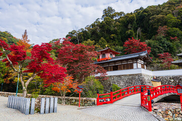 紅葉風景