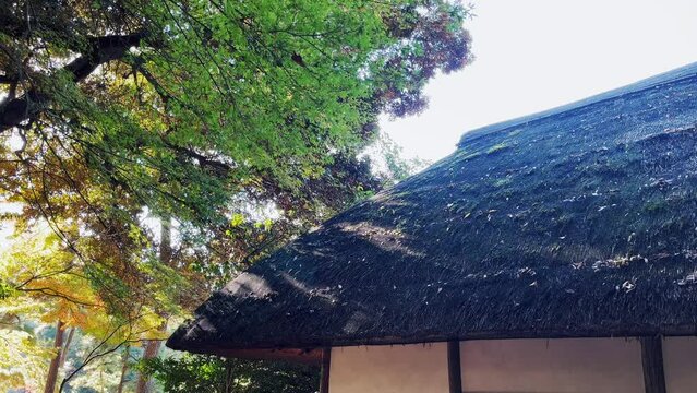 藁ぶき屋根