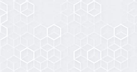 Foto op Plexiglas Abstract white geometric hexagon with white 3d grid. Neumorphism elegant science background. Random grey honeycomb pattern. Smooth and subtle cover. Geometric striped texture. Digital luxury silver BG © Alona Khadzhyoglo