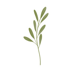 Green leaf illustration