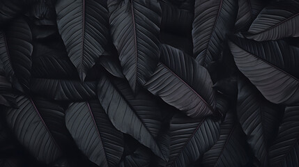 Background from autumn leaves closeup. Black background. - obrazy, fototapety, plakaty