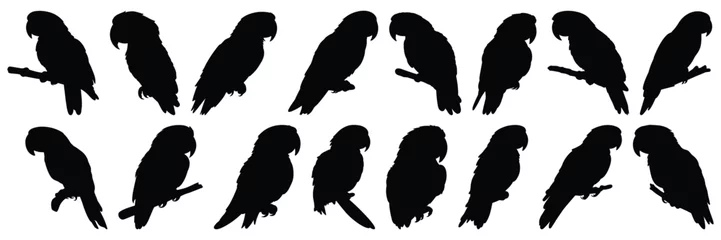 Fotobehang Parrot tropic silhouettes set, large pack of vector silhouette design, isolated white background © FutureFFX