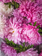 Bouquet of pink and white chrysanthemums close up
