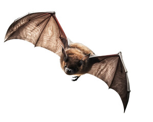 Bat on a light background. Generative artificial intelligence