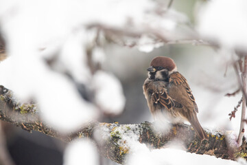
 
FILE #:  565703799
 Preview Crop
 Find Similar
DIMENSIONS
6016 x 4016px
FILE...