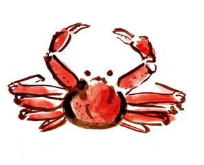 ズワイガニが片方のハサミを上げる和風手描きイラスト
