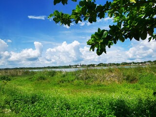 Laguna lagoon Coba river lake cenote with blue water Mexico.