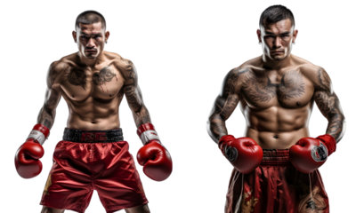 Set of Asian Professional Boxers Ready to Fight on Transparent Background