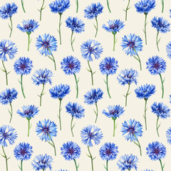  Cornflower, Seamless pattern with wildflowers watercolor. Floral design, elegant botanical background. Blue flowers 