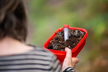 soil testing with a test tube in the soil close up the plants in the background in australia