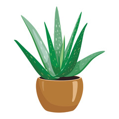 Aloe Vera vector illustration. Illustration for greeting cards, printing and other design projects.