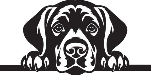 black and white labrador dog illustration